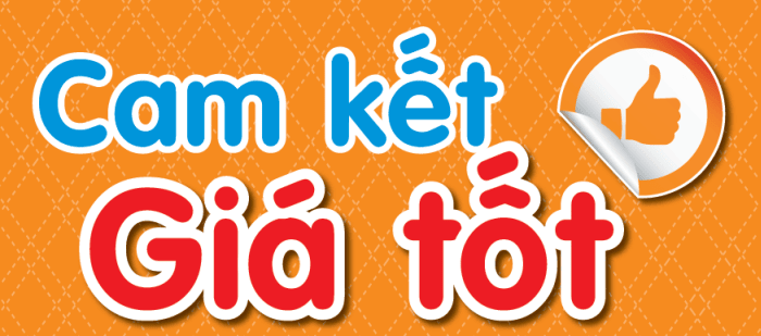 Gia tot Thuê xe giá tốt tại Huế